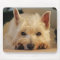 Beautiful Westie Dog Mouse Pad / Mouse Mat