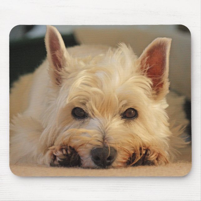 Beautiful Westie Dog Mouse Pad / Mouse Mat (Front)