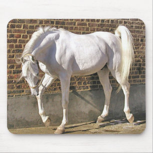 Beautiful White Arabian Horse Mouse Mat