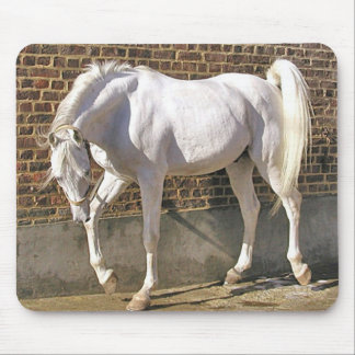 Beautiful White Arabian Horse Mouse Mat