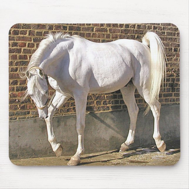 Beautiful White Arabian Horse Mouse Mat (Front)