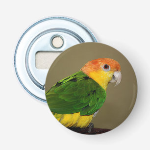 Beautiful White Bellied Caique Parrot Posing Bottle Opener