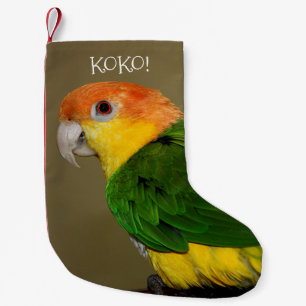 Beautiful White Bellied Caique Parrot Posing Small Christmas Stocking