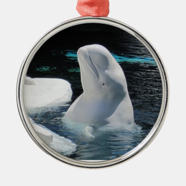 Beautiful White Beluga Whale Metal Tree Decoration (Front)