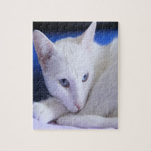 Beautiful White Cat/Add Your Pet's Photo Jigsaw Puzzle