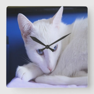 Beautiful White Cat/Add Your Pet's Photo Square Wall Clock