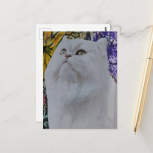 Beautiful White Cat in Flowers collage Postcard