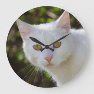 Beautiful White Cat Large Clock