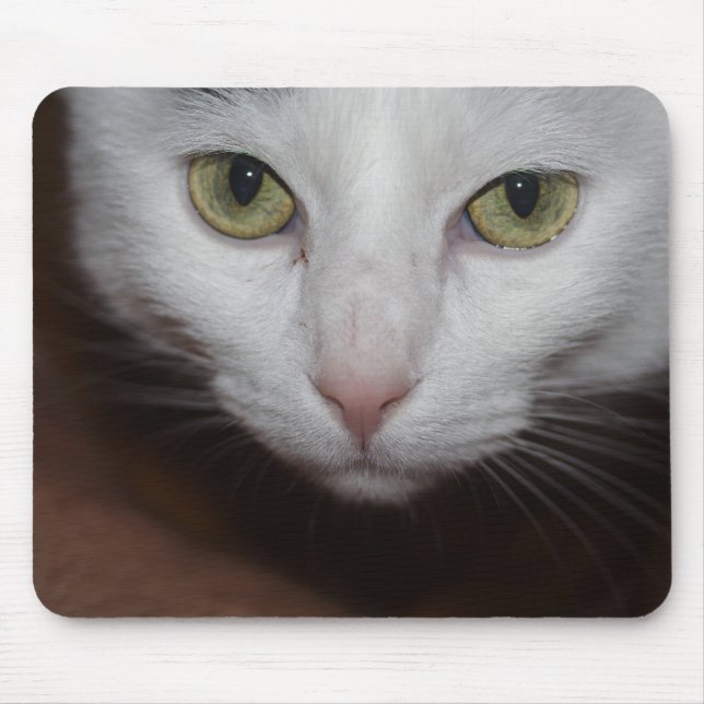 Beautiful White Cat Mouse Mat (Front)