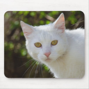 Beautiful White Cat Mouse Mat