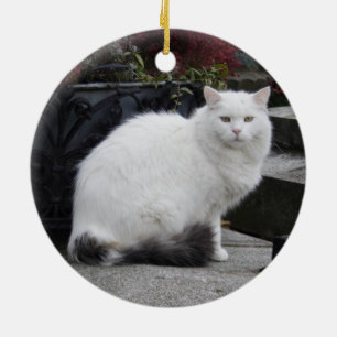 Beautiful White Cat On A Grave Ceramic Tree Decoration