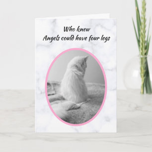 Beautiful White Cat Pet Sympathy Card