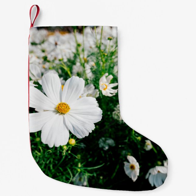Beautiful white cosmos flowers blooming in gardena small christmas stocking (Front)