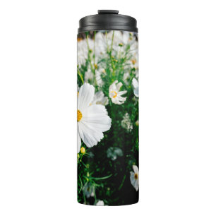 Beautiful white cosmos flowers blooming in gardena thermal tumbler