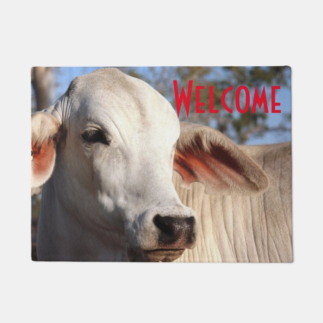 Beautiful White Cow Heifer Cattle Photograph Farm Doormat (Front)