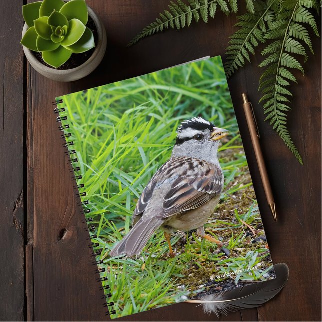Beautiful White-Crowned Sparrow in the Grass Notebook (White-Crowned Sparrow in the Grass Journal Cover Photo)