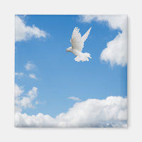 Beautiful white dove flying high