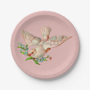 beautiful white dove with sprig in its mouth paper plate