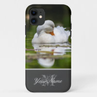 Beautiful white duck swimming on garden pond!