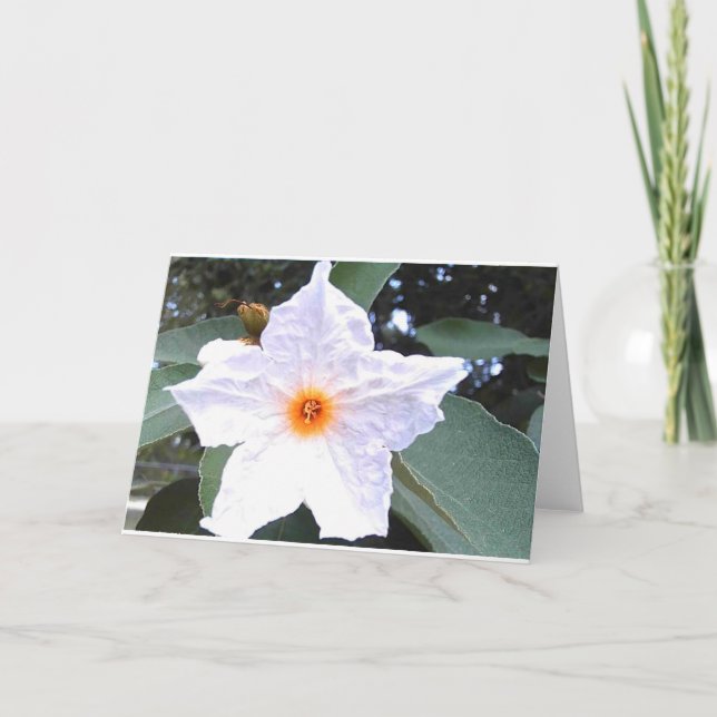 Beautiful White Flower Blank Greeting Card (Front)