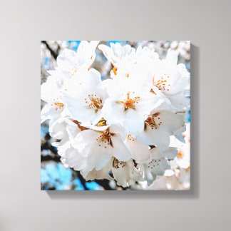 Beautiful White Flowers Under a Bright Sun Canvas Print