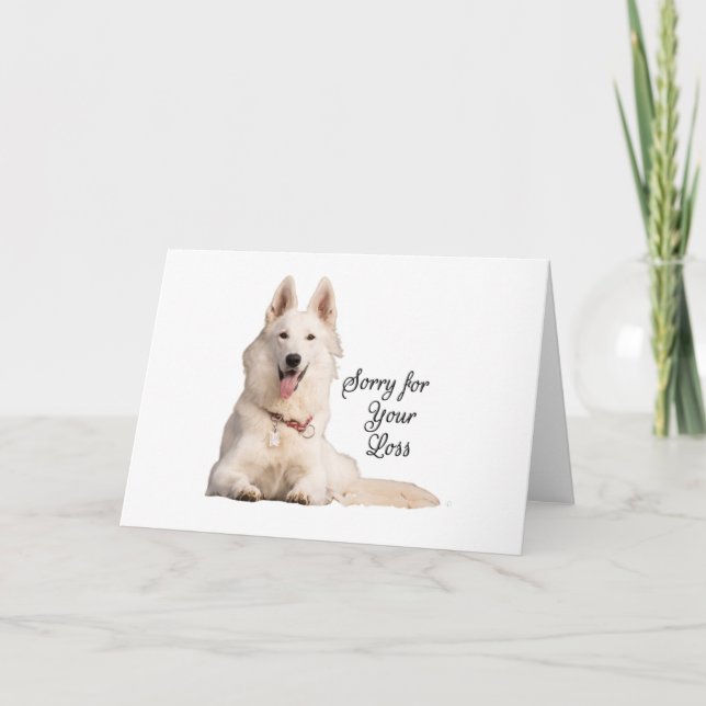 Beautiful White German Shepherd Sorry for Your Los Card (Front)