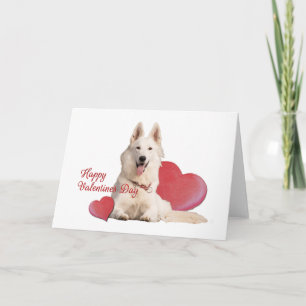 Beautiful White German Shepherd Valentine's Day  Card