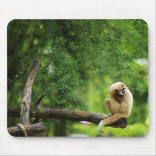 Beautiful White Handed Gibbon on a Tree Mouse Mat