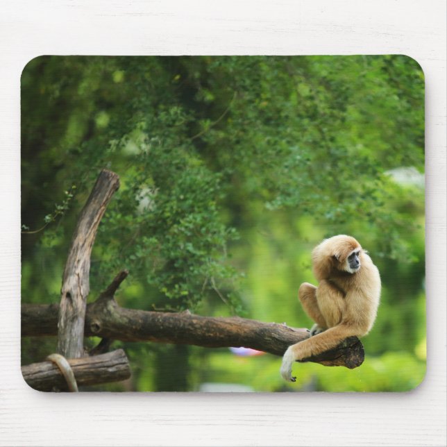 Beautiful White Handed Gibbon on a Tree Mouse Mat (Front)