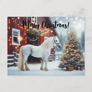Beautiful white horse and red barn postcard