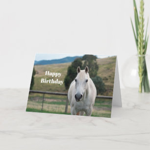 Beautiful White Horse Appaloosa Photo Birthday Card