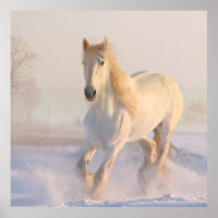 Beautiful White Horse Galloping in the Snow
