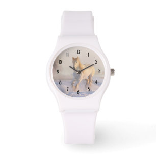 Beautiful White Horse Galloping in the Snow Watch