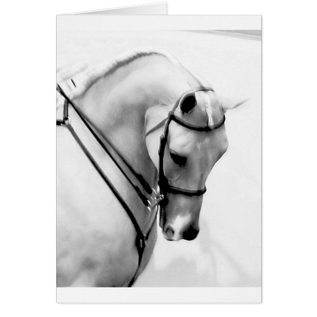 Beautiful white Horse head (Front)