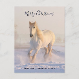 Beautiful White Horse in the Snow Photo Christmas Holiday Postcard