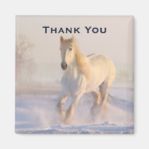 Beautiful White Horse in the Snow Photo Thank You Magnet