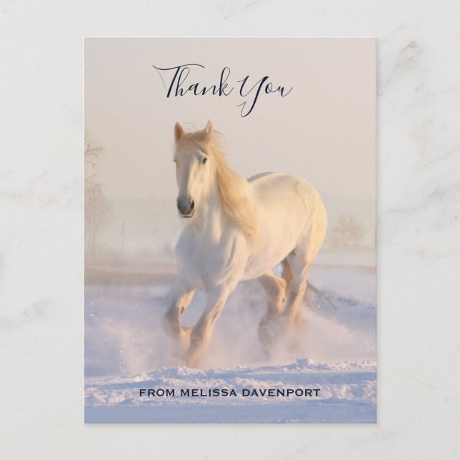 Beautiful White Horse in the Snow Photo Thank You Postcard (Front)