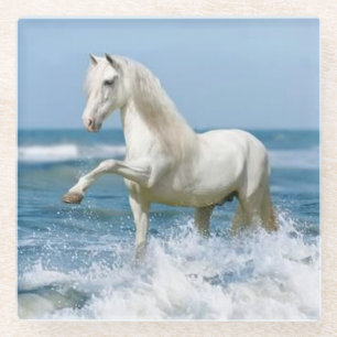 Beautiful White Horse in the Water Glass Coaster