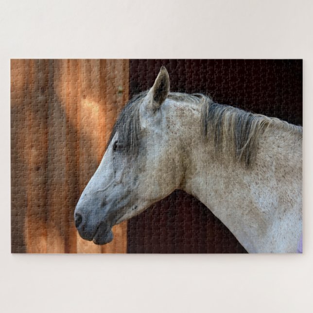 Beautiful White Horse Jigsaw Puzzle (Horizontal)