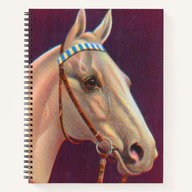 beautiful white horse notebook (Front)