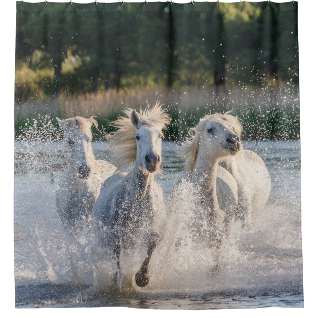 Beautiful White Horses Running in Water Shower Curtain (Front)
