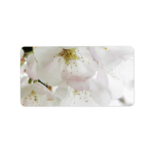 Beautiful White Label