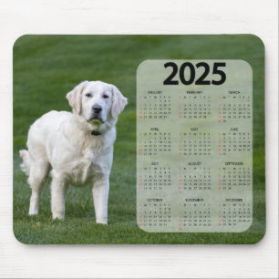 Beautiful White Labrador 2025 Dog Calendar Mouse Mat