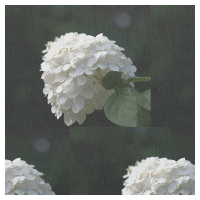 Beautiful White Lime Hydrangea Floral Fabric (Swatch)