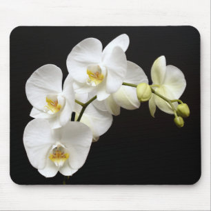 Beautiful White Orchid with Black Background Mouse Mat