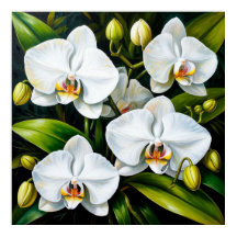 Beautiful White Orchids Luxury Decor & Gift 🌿🤍