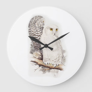 Beautiful white owls in snow (snowy owls) large clock
