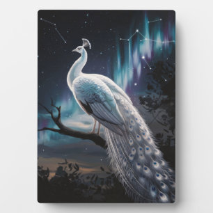 Beautiful White Peacock Aurora Borealis Scenic Plaque