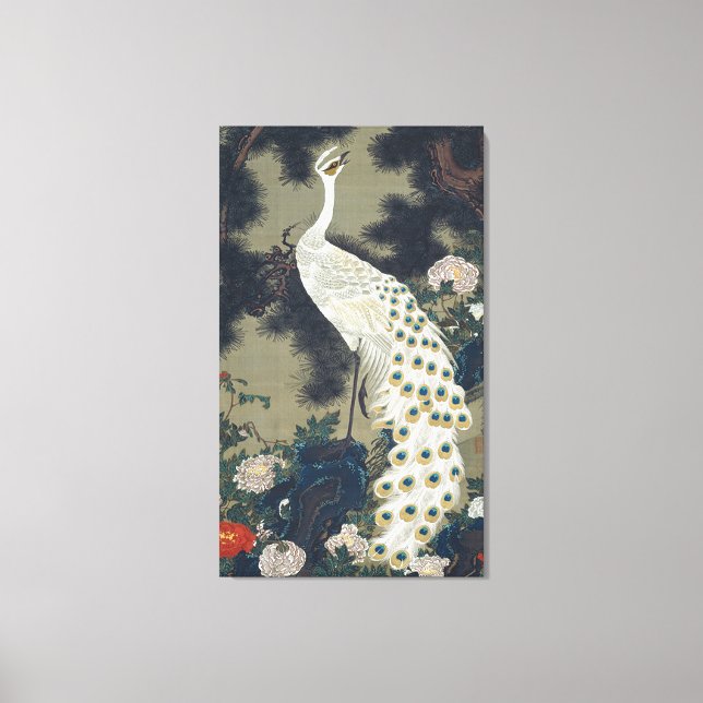 Beautiful White Peacock Japanese Canvas Print (Front)
