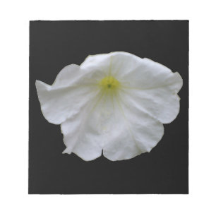 Beautiful White Petunia Notepad